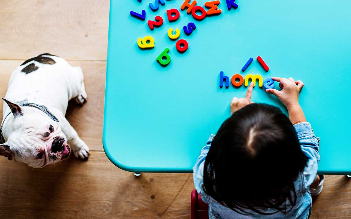 The 3 Main Benefits of Toys and the Best Gift Ideas